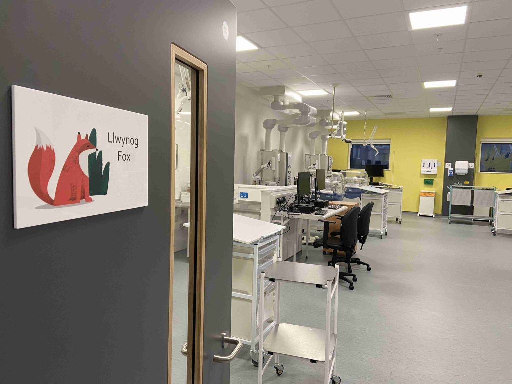 Hospitals art - Bees & Honey