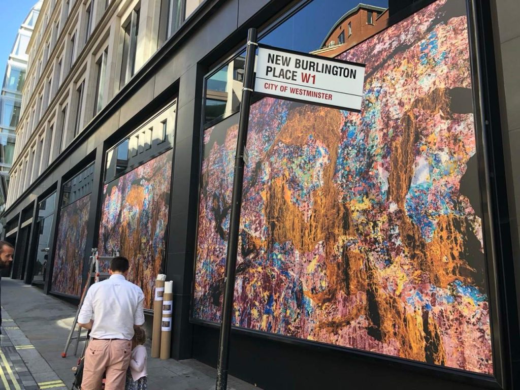 Gallery - Bees & Honey